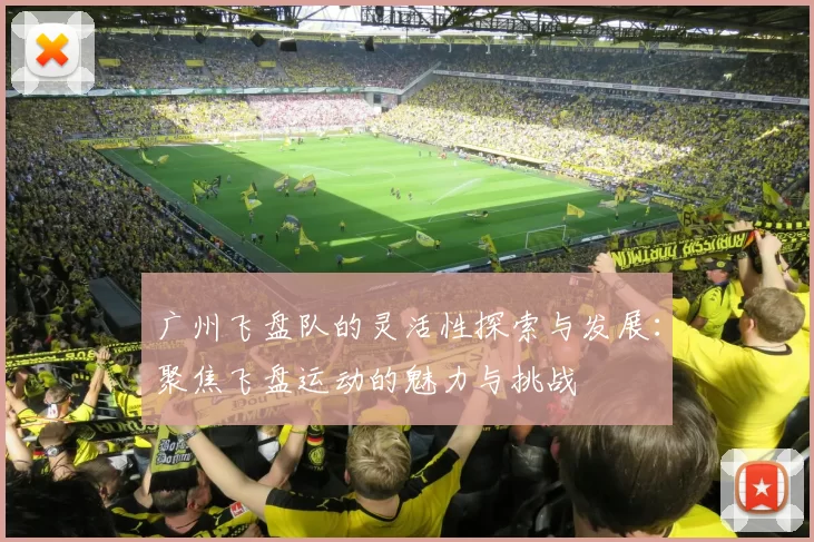 广州飞盘队的灵活性探索与发展：聚焦飞盘运动的魅力与挑战