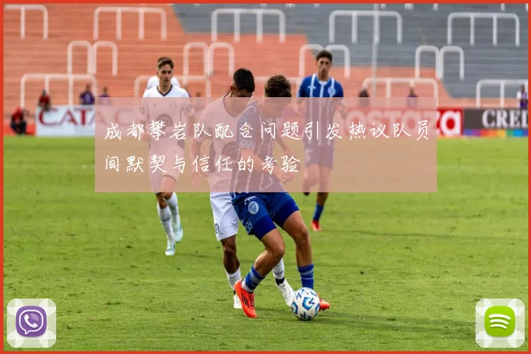成都攀岩队配合问题引发热议队员间默契与信任的考验