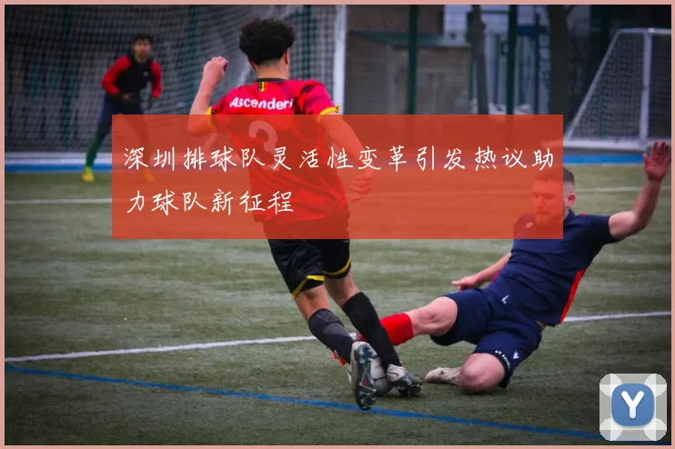 深圳排球队灵活性变革引发热议助力球队新征程