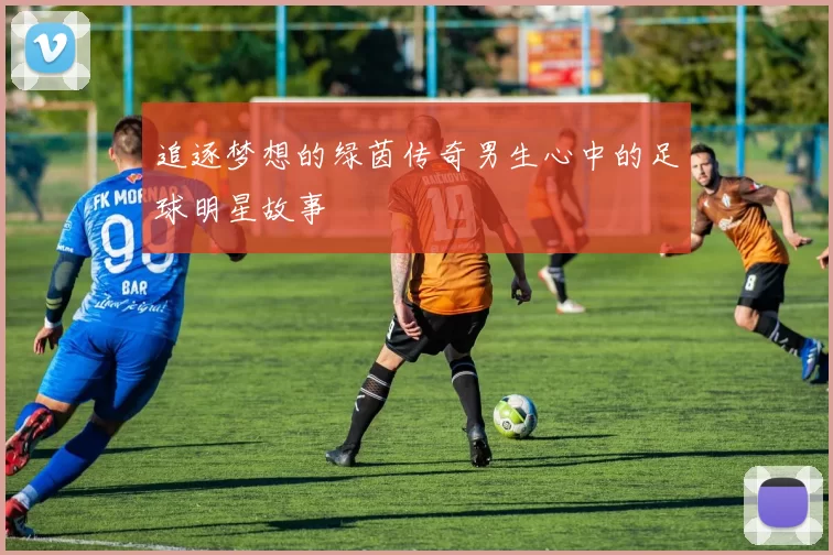 追逐梦想的绿茵传奇男生心中的足球明星故事