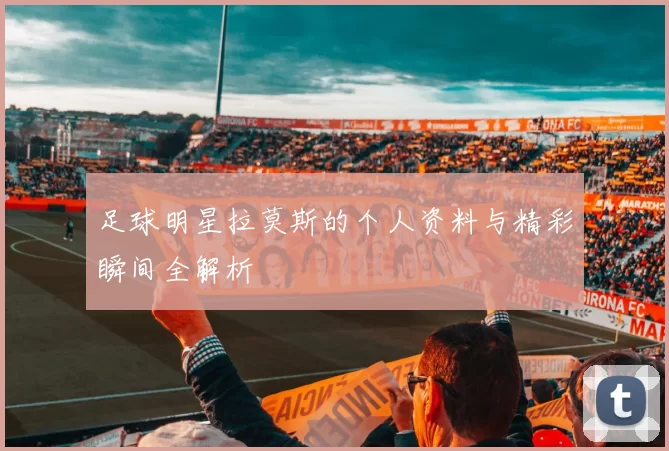 足球明星拉莫斯的个人资料与精彩瞬间全解析