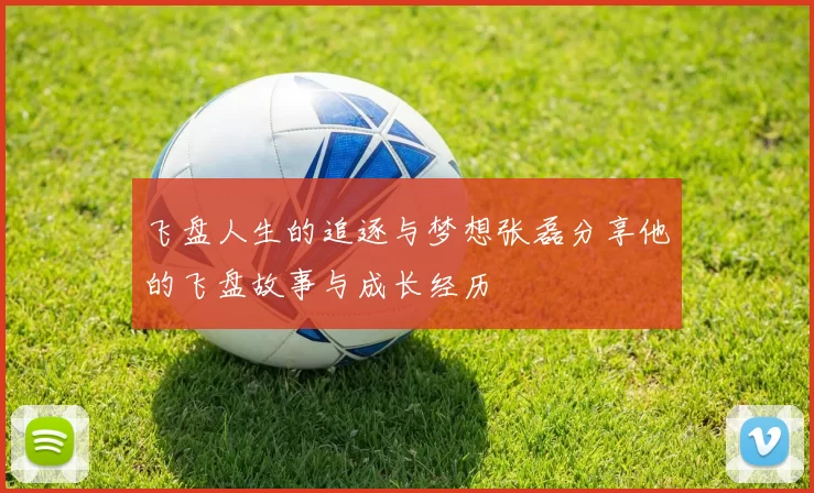飞盘人生的追逐与梦想张磊分享他的飞盘故事与成长经历