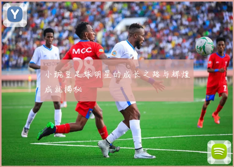 小豌豆足球明星的成长之路与辉煌成就揭秘