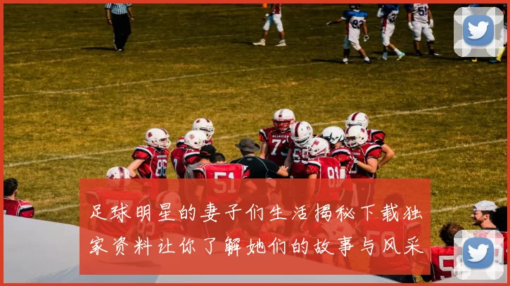 足球明星的妻子们生活揭秘下载独家资料让你了解她们的故事与风采