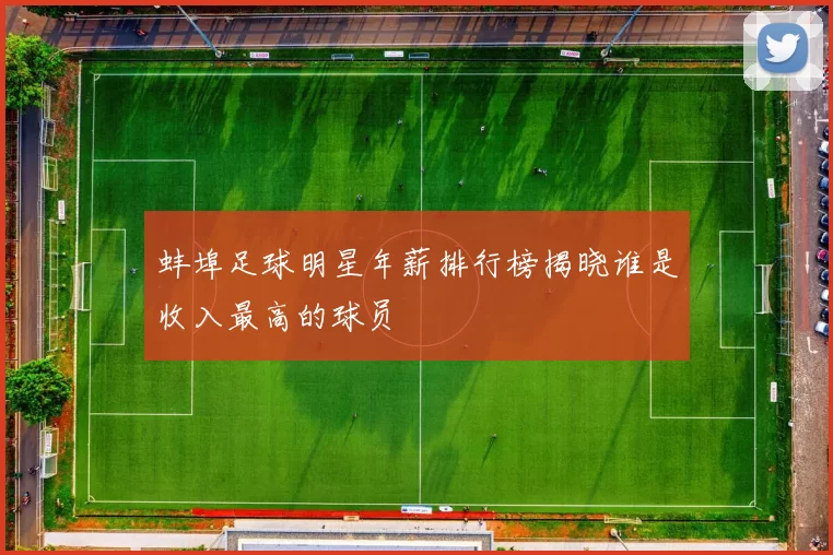 蚌埠足球明星年薪排行榜揭晓谁是收入最高的球员