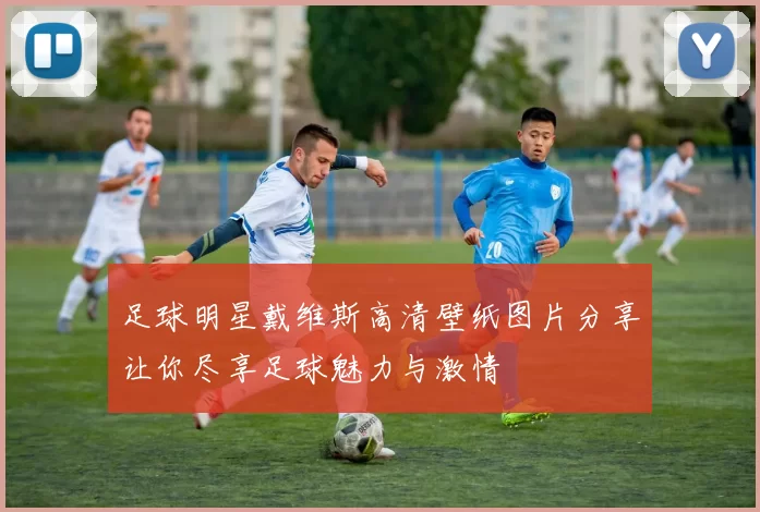 足球明星戴维斯高清壁纸图片分享让你尽享足球魅力与激情