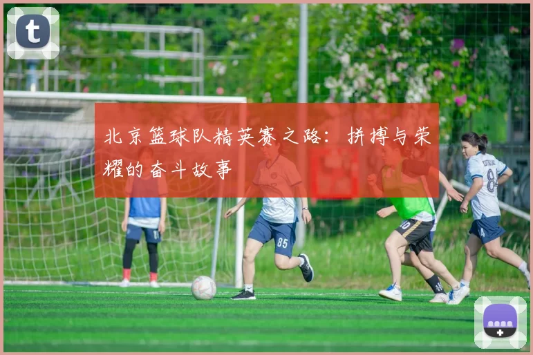 北京篮球队精英赛之路：拼搏与荣耀的奋斗故事