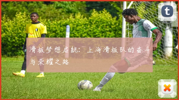 滑板梦想启航：上海滑板队的奋斗与荣耀之路