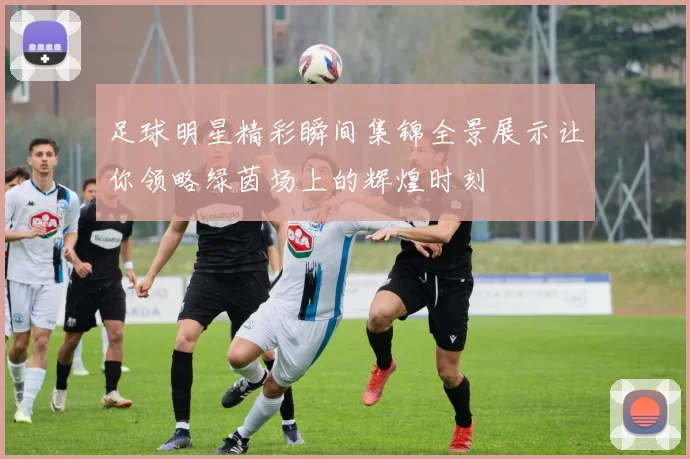 足球明星精彩瞬间集锦全景展示让你领略绿茵场上的辉煌时刻