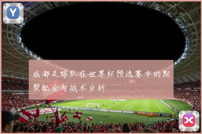 成都足球队在世界杯预选赛中的默契配合与战术分析