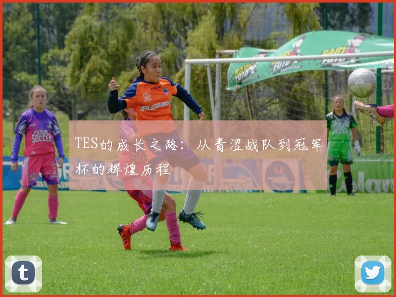 TES的成长之路：从青涩战队到冠军杯的辉煌历程