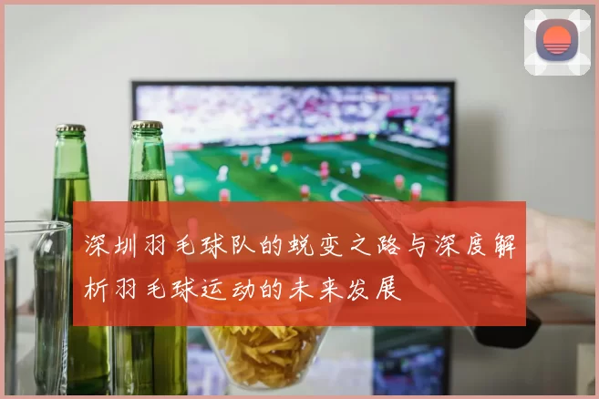 深圳羽毛球队的蜕变之路与深度解析羽毛球运动的未来发展