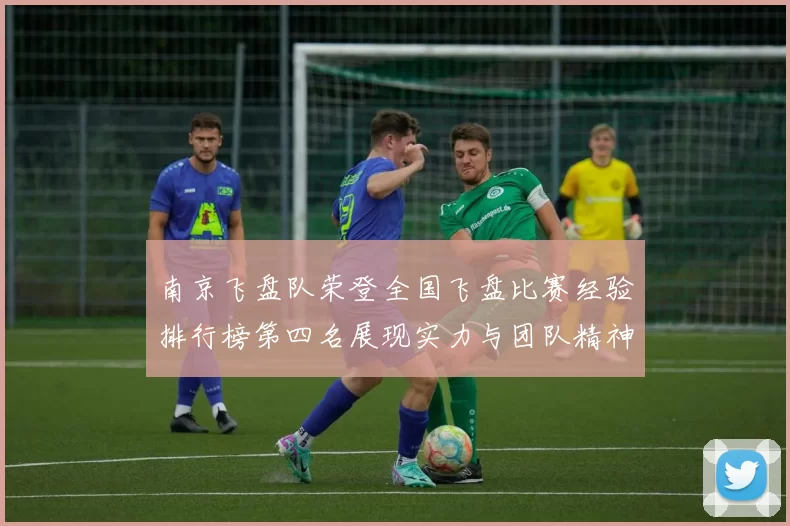南京飞盘队荣登全国飞盘比赛经验排行榜第四名展现实力与团队精神