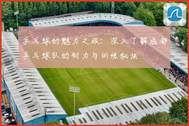 乒乓球的魅力之旅：深入了解成都乒乓球队的耐力与训练秘诀