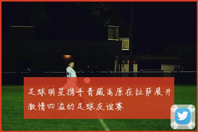 足球明星携手青藏高原在拉萨展开激情四溢的足球友谊赛