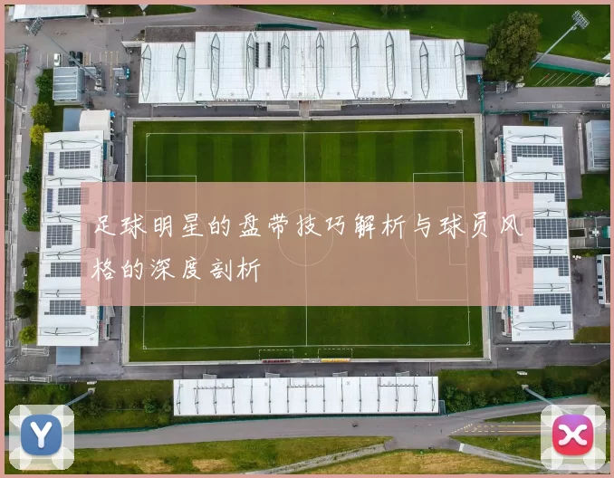 足球明星的盘带技巧解析与球员风格的深度剖析