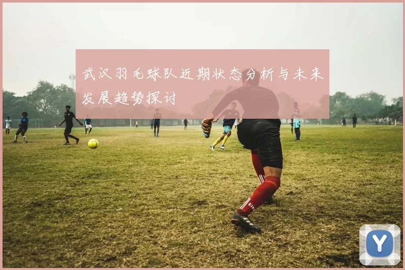 武汉羽毛球队近期状态分析与未来发展趋势探讨