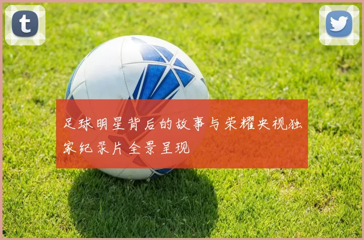 足球明星背后的故事与荣耀央视独家纪录片全景呈现