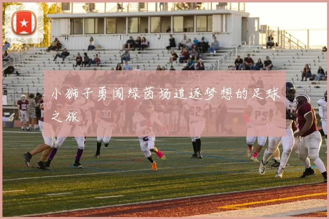 小狮子勇闯绿茵场追逐梦想的足球之旅